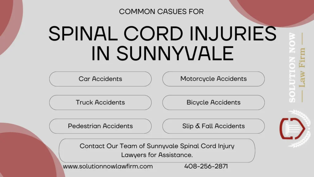 This infographic shows that Common Causes for Spinal Cord Injuries in Sunnyvale