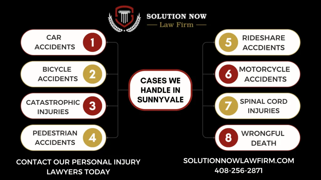 This infographic shows that Cases We Handle in Sunnyvale